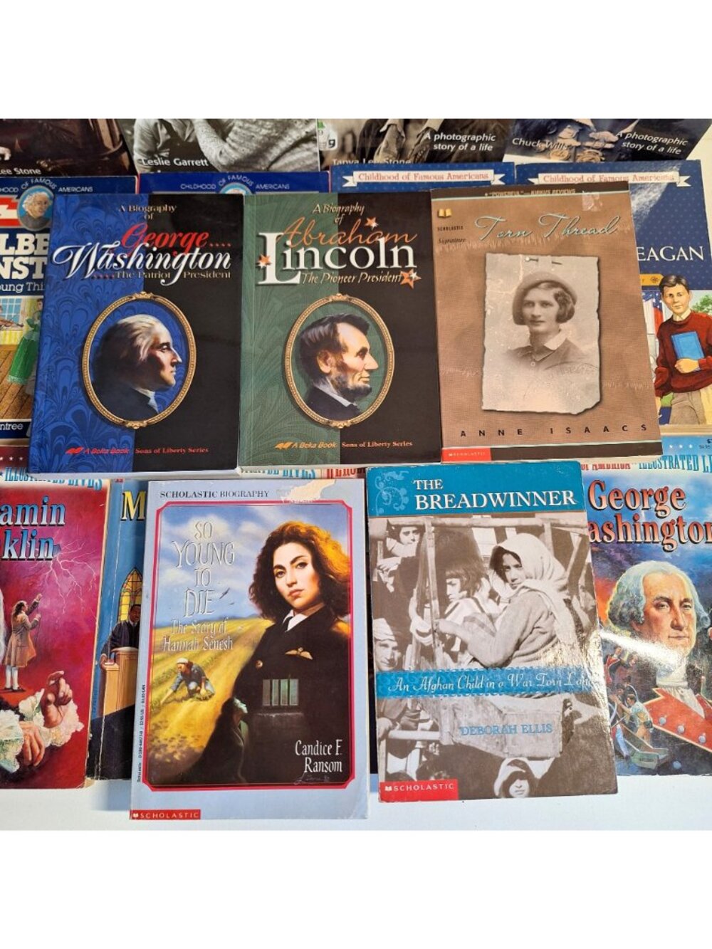 Historical Biography Chapter 17 Book Lot DK Einstein Lincoln Buffalo Bill Keller - Picture 6 of 8